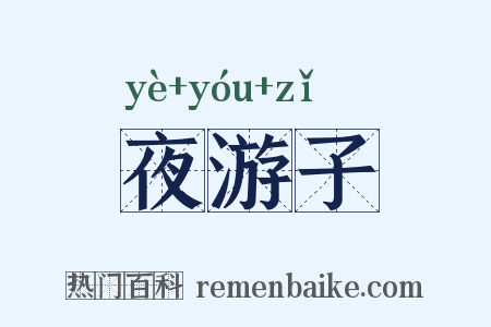 夜游子是什么意思的图片